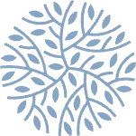 Территория здоровья 